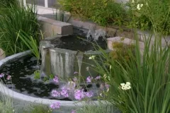 photo-5